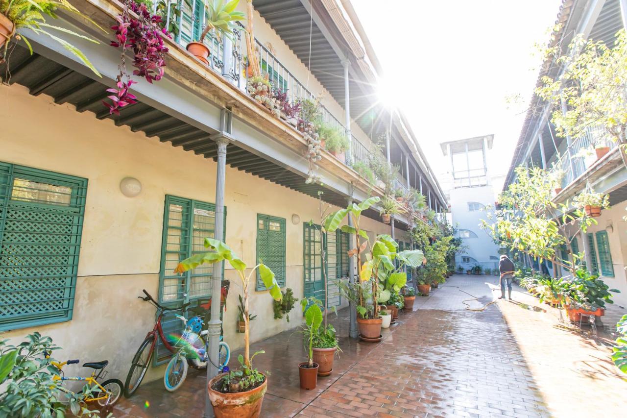 Apartamento 3 Dormitorios En Calle San Vicente. Sevilla Eksteriør bilde